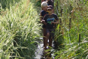 Auf dem Wasserpfad