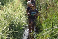 Auf dem Wasserpfad
