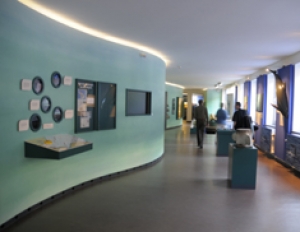 Ausstellung "Im Reich des Wassermanns"